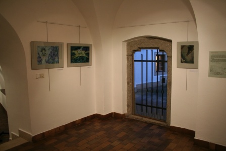 MARINA RICHTEROVÁ – SUMMA SUMMARUM 22 LET - Galerie Malovaný dům Třebíč